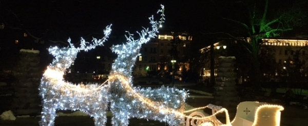 За втора поредна година ЗАД “ОЗК - ЗАСТРАХОВАНЕ” АД се включи в кампанията „Да украсим София за Коледа”